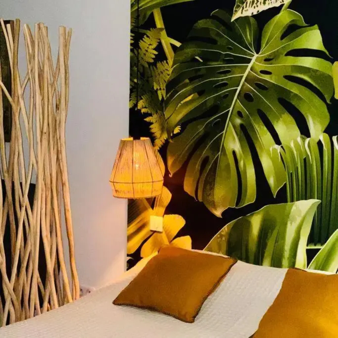 Studio tropical, beautifully renovated, sea view