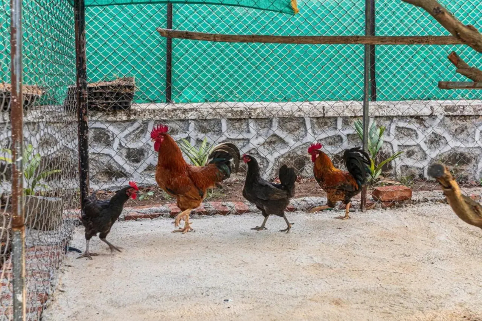 SaffronStays Serene Retreat, Alibaug