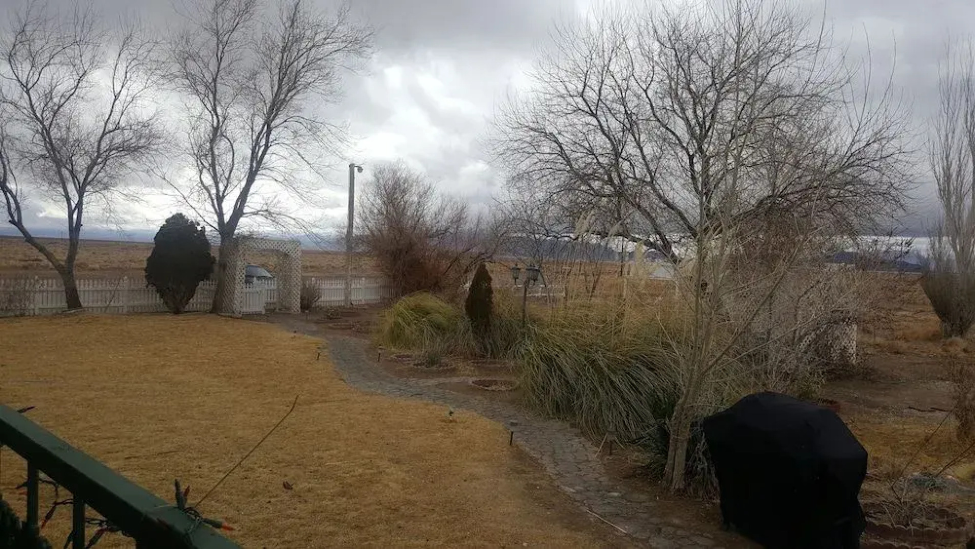 Shady Lady Bed & Breakfast