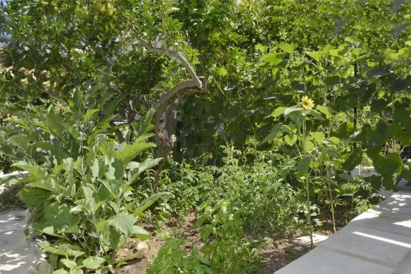 La Casa tra San Vito Lo Capo e Erice