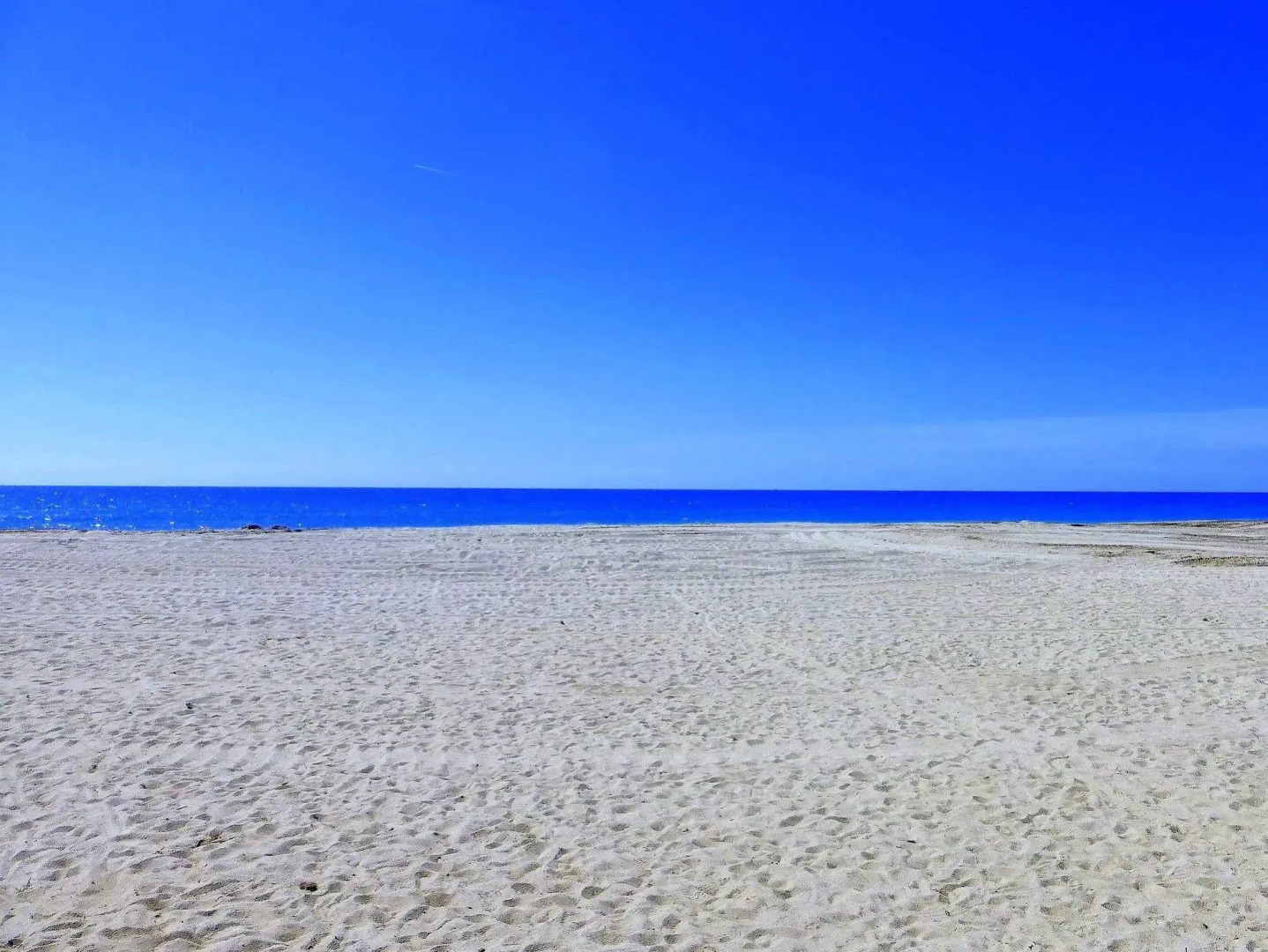 Rentalmar Pins Marina