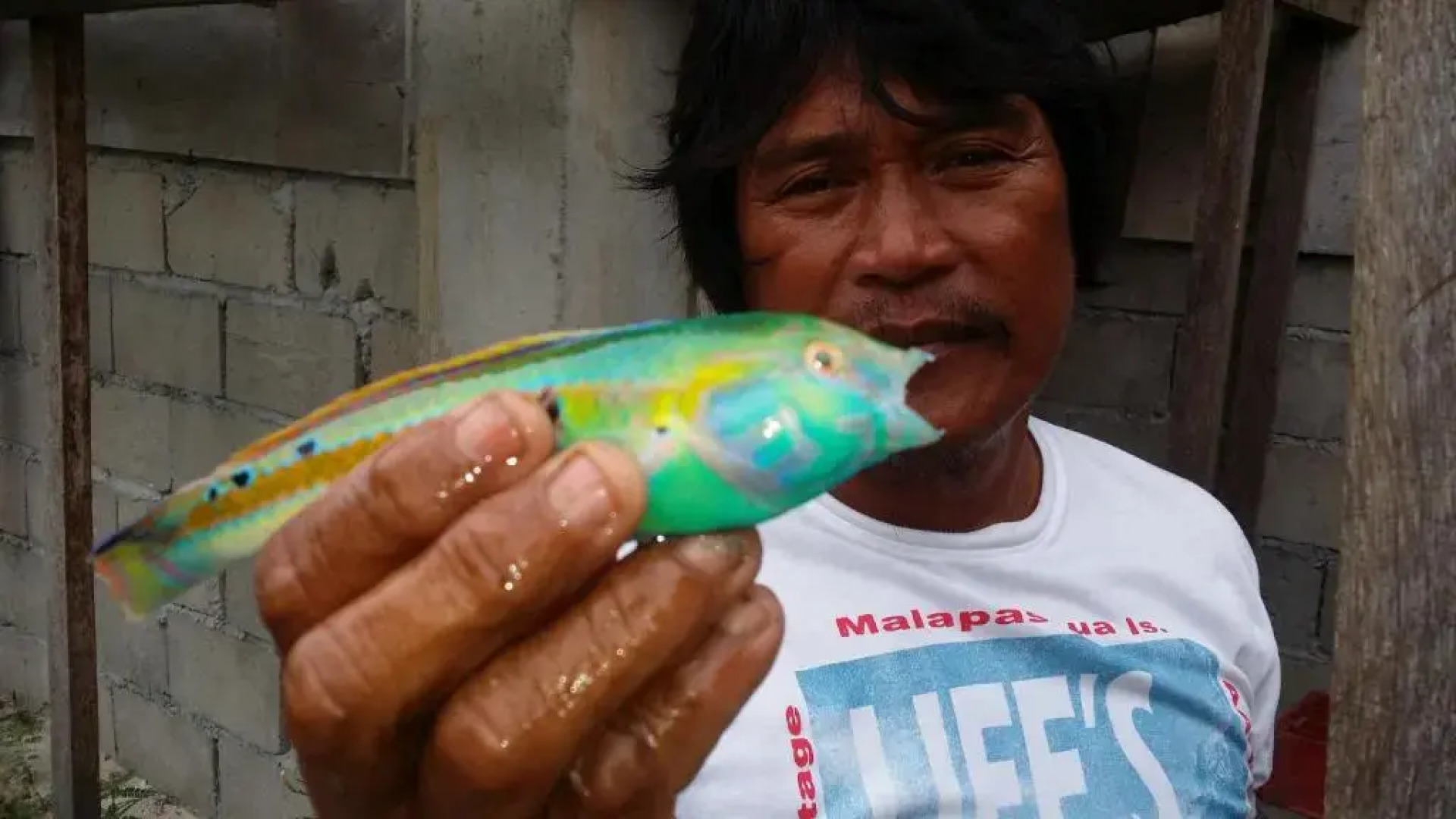 AABANA Beach&Watersport Resort