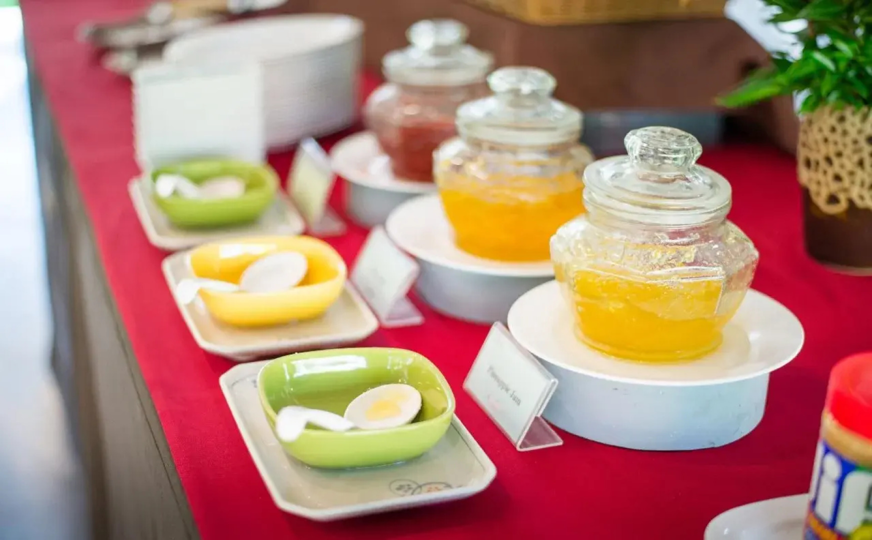 ThaiLife Wellness and Meditation Resort