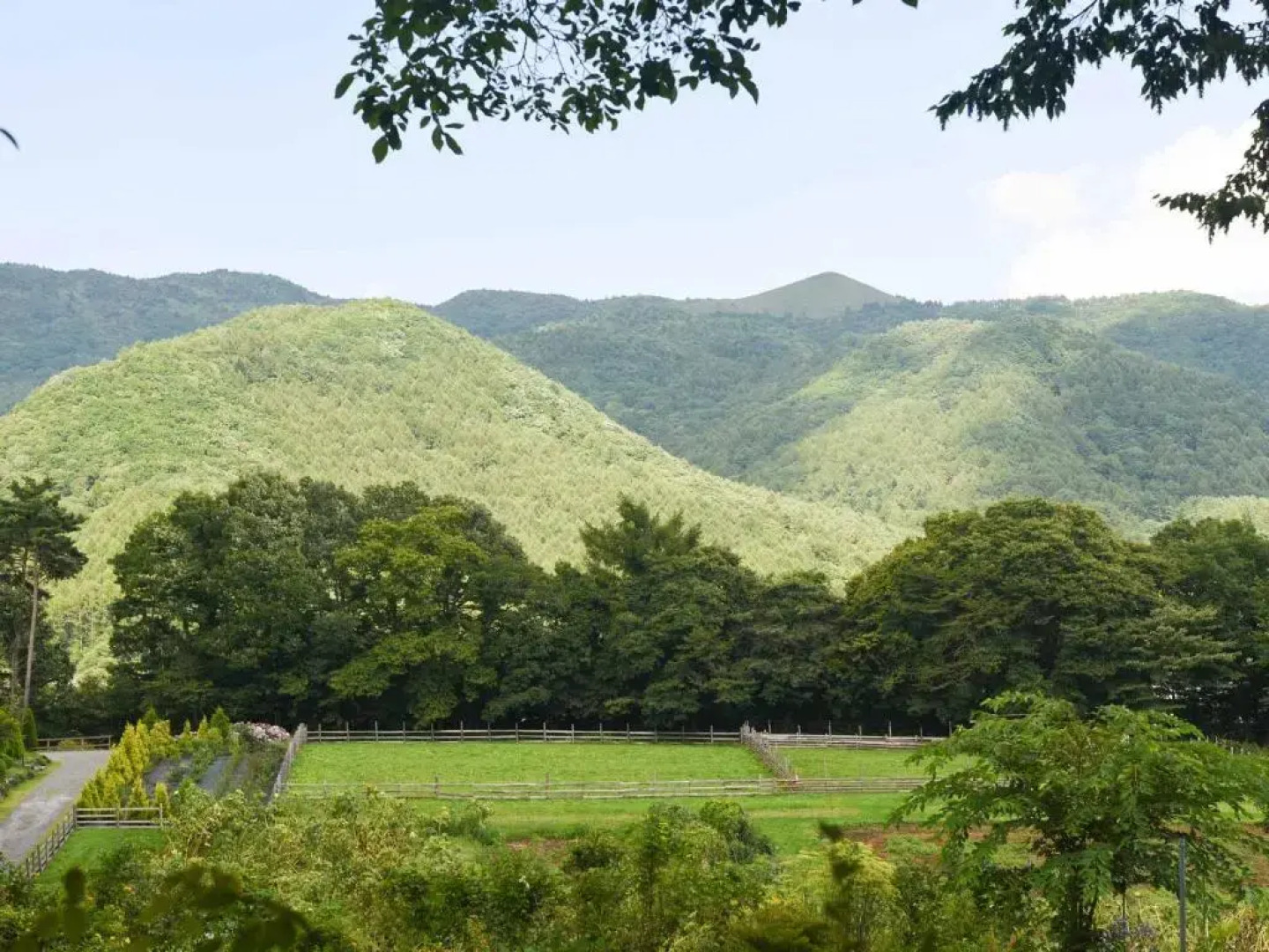 Country Inn Orchard House