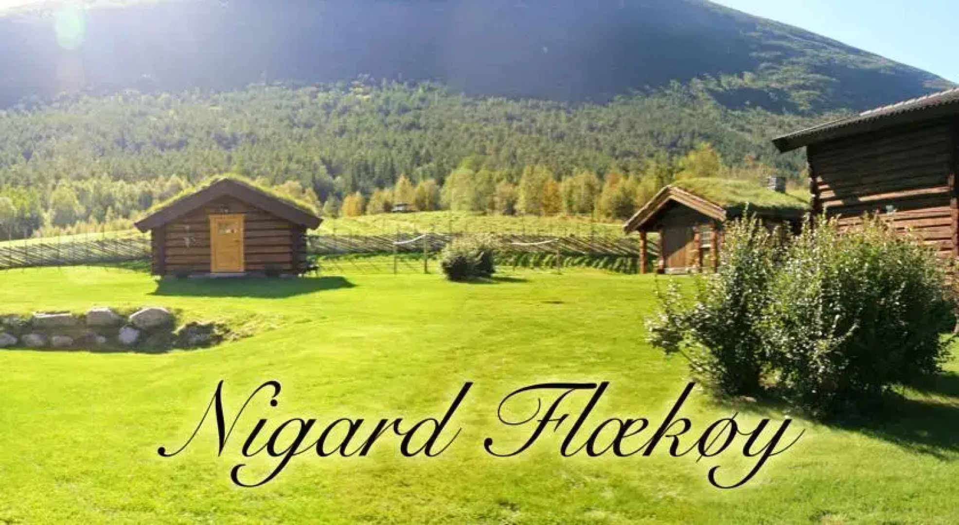 Nigard Flækøy