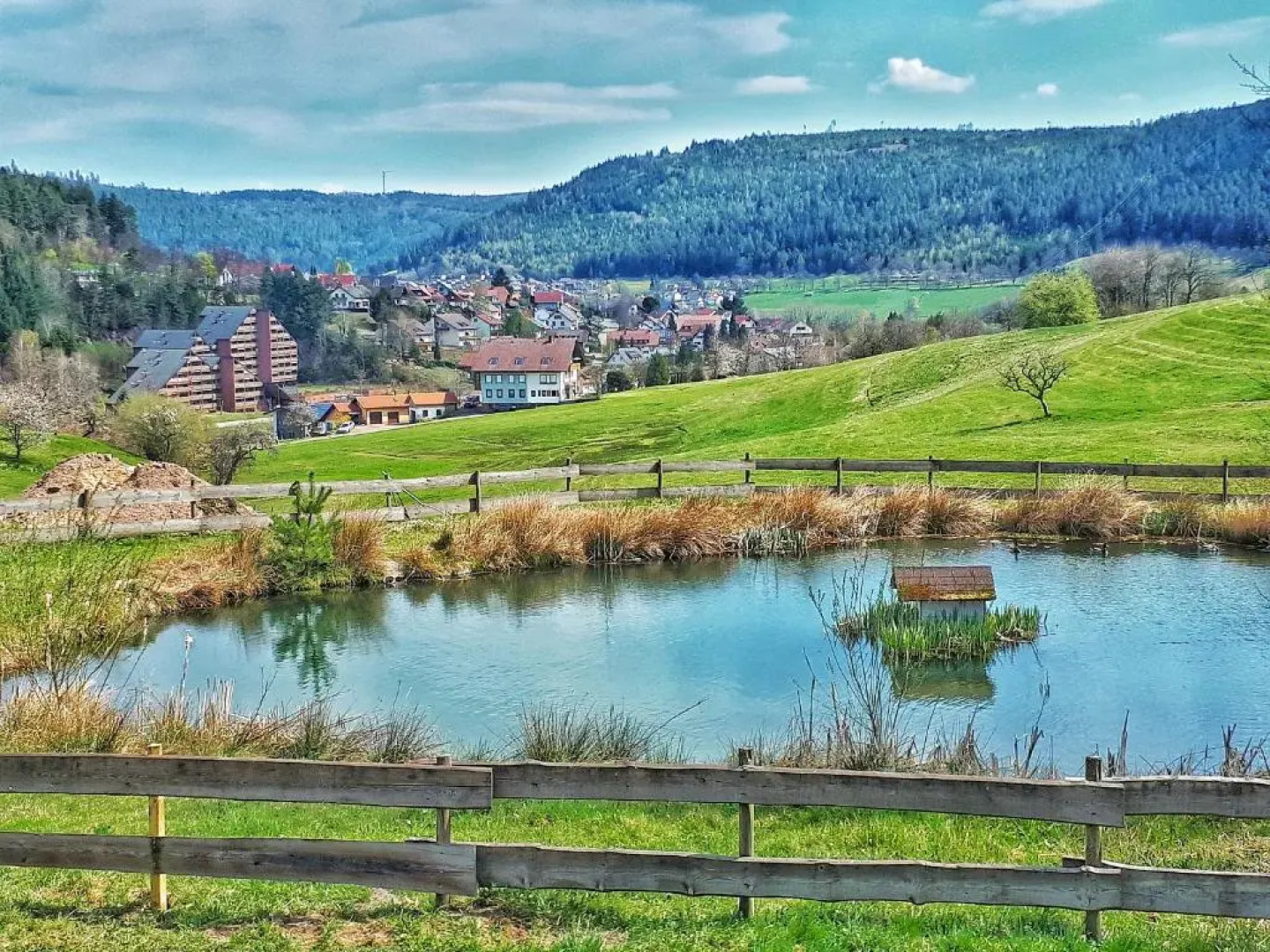 Apartmenthaus Schwarzwaldgrund