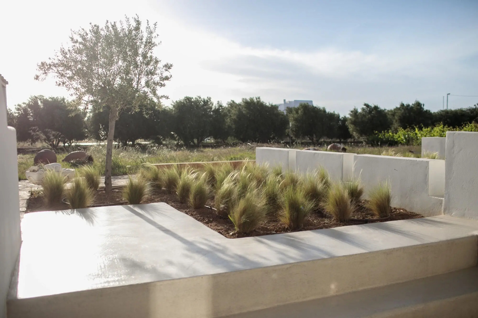 Iphimedeia Apartments & Suites