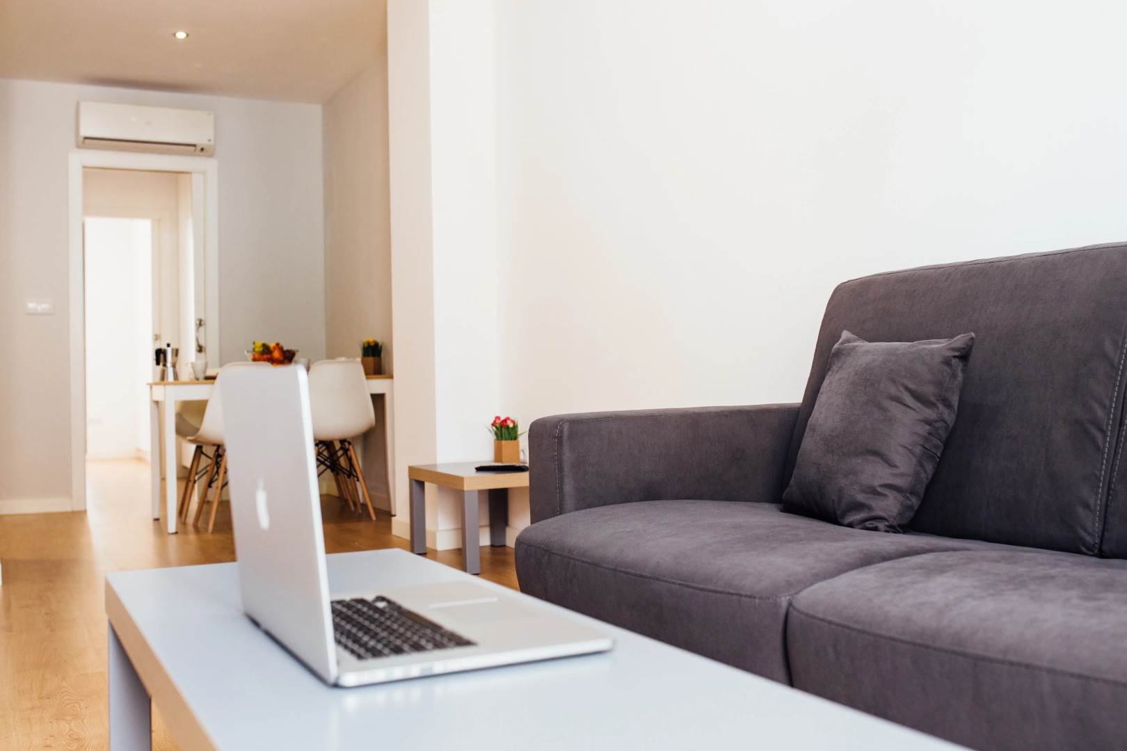 Botànic Apartaments