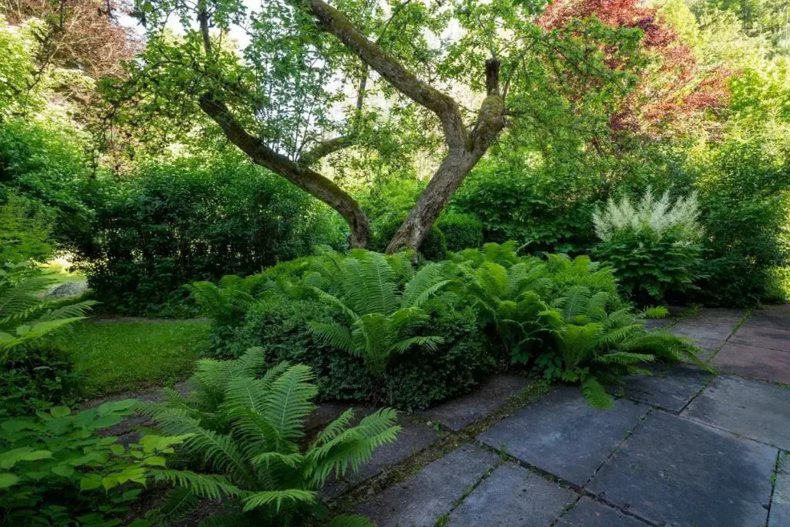 Ferienwohnungen Mittermurnthal