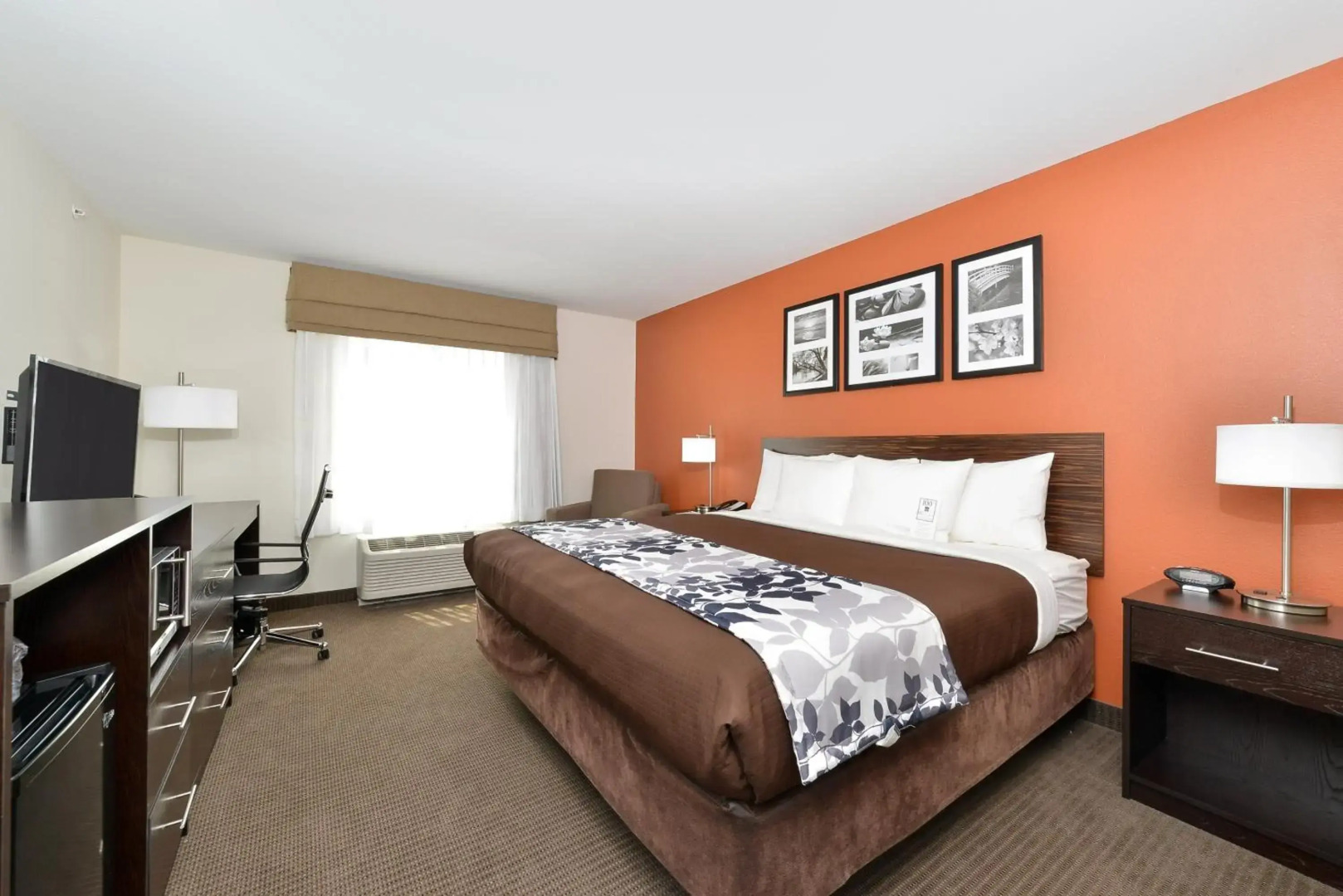 Sleep Inn & Suites and Conference Center Downtown