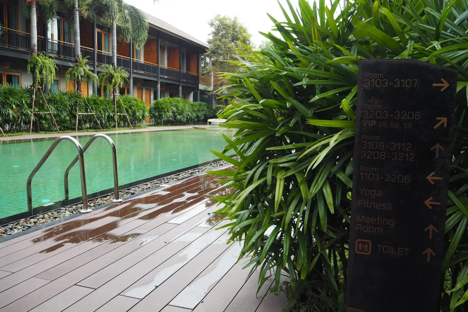 The Buffalo Amphawa (SHA Plus)