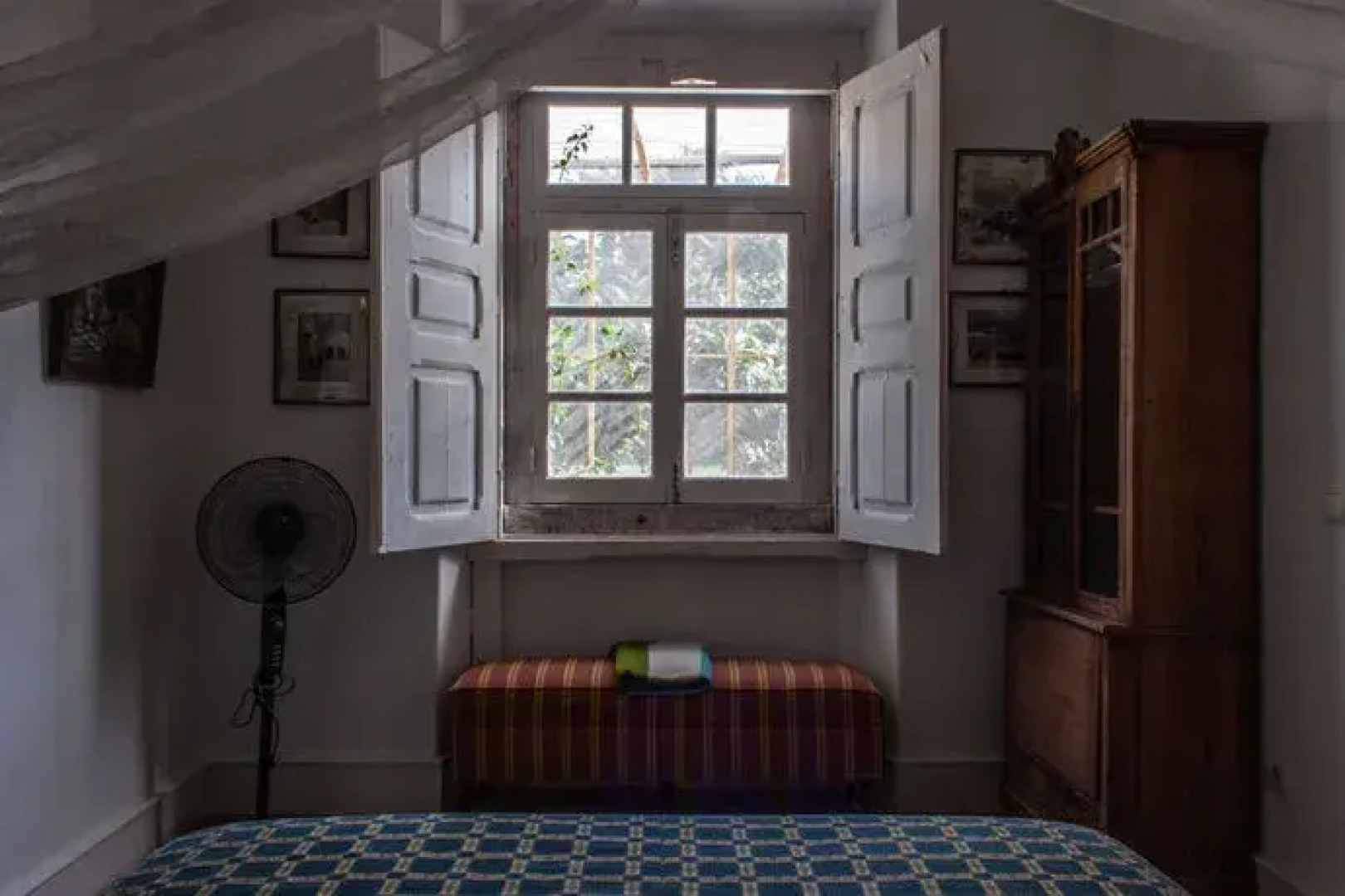 Uva do Monte - Blueberry Farm