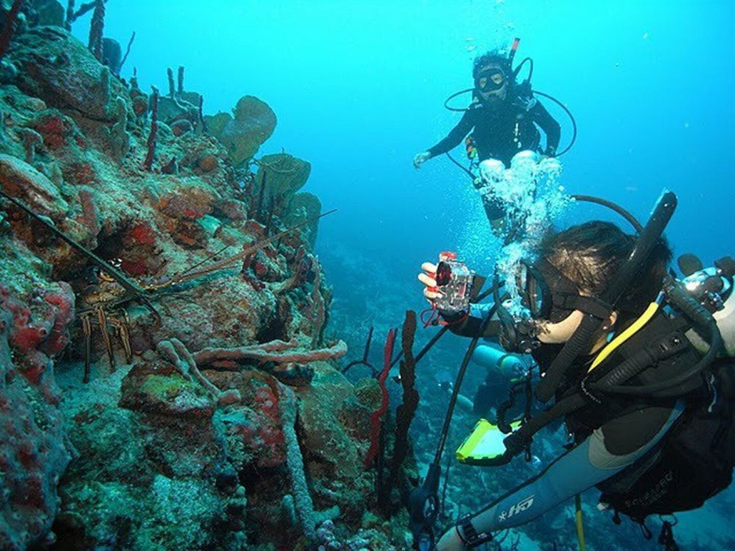 Buccament Bay Resort - Все включено