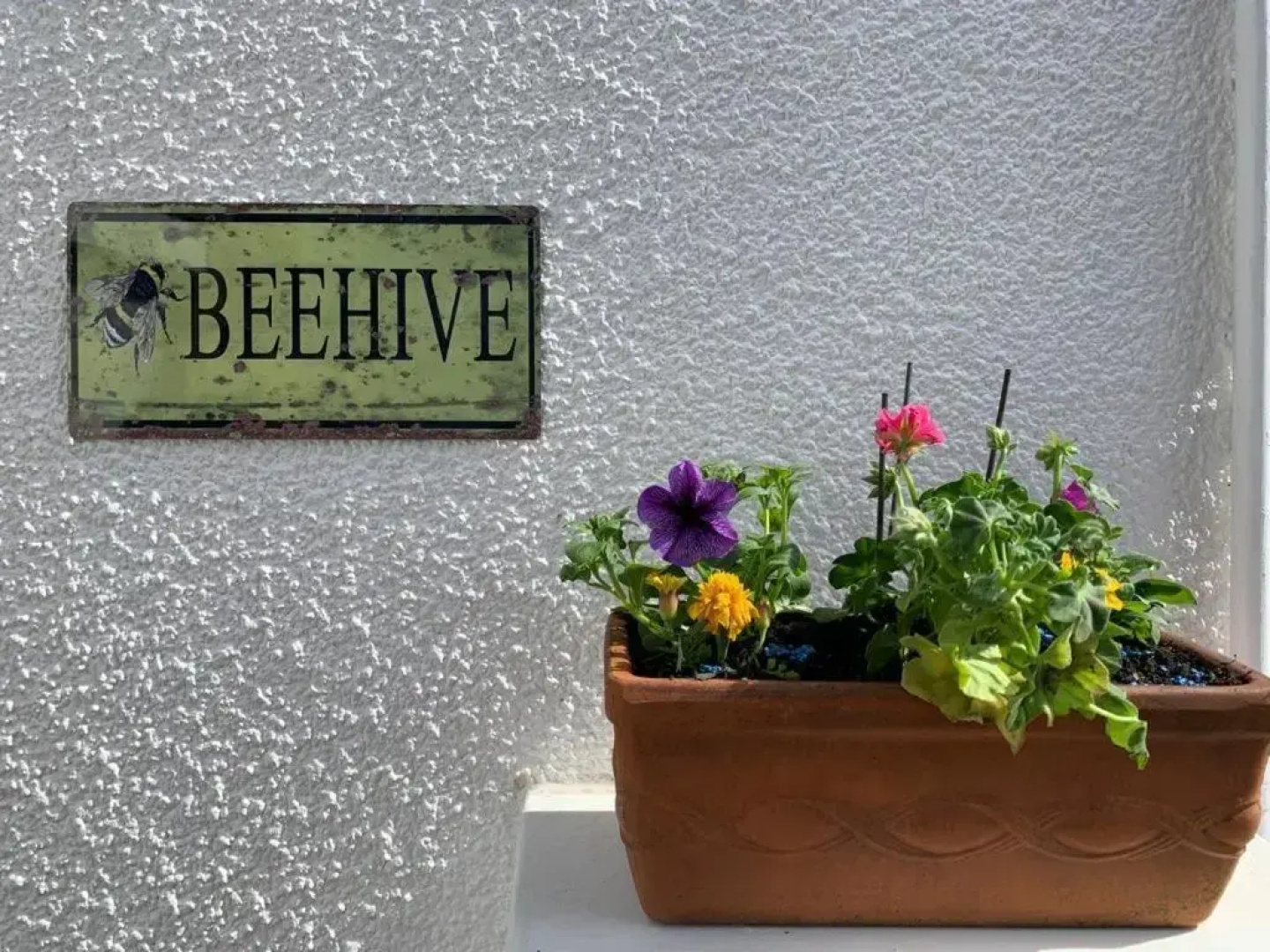 The Beehive - Self Contained Studio by the Sea (Adults Only)