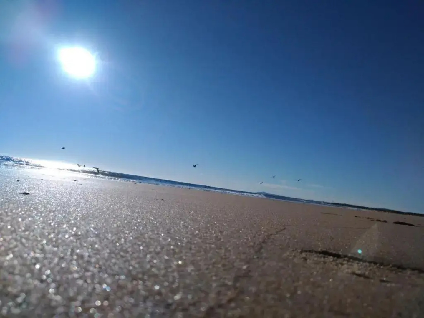 Apartamento Sol e Mar 1