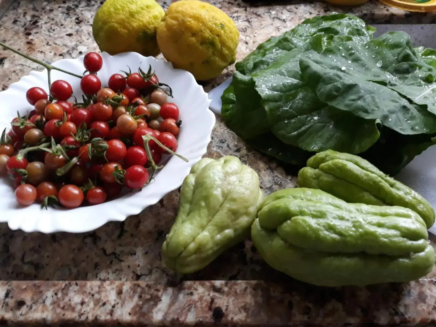 Casa dos sonhos - Alto Padrão