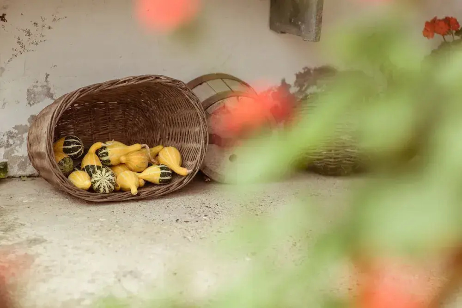 Country House Stara Kapela