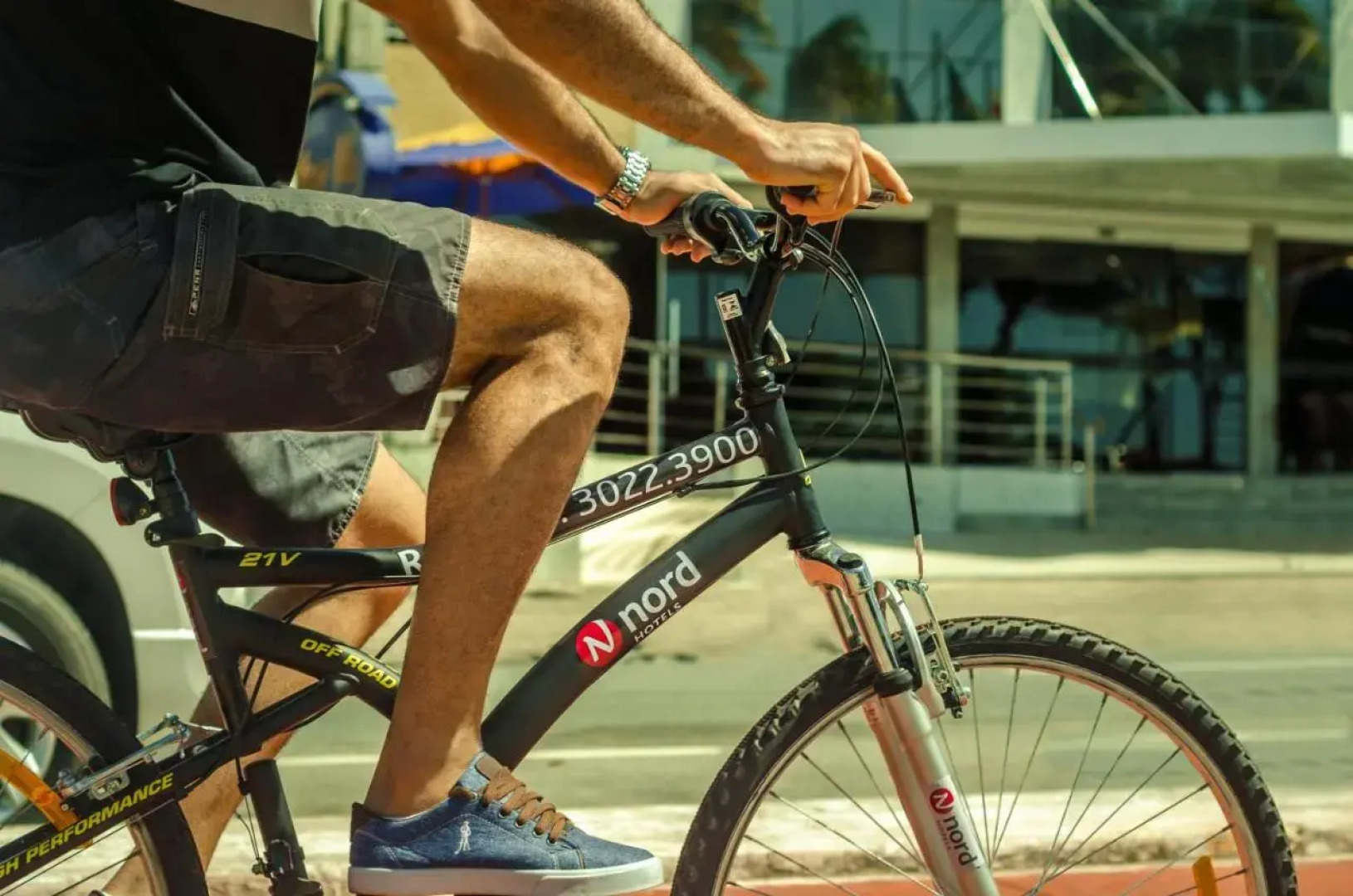 Nord Luxxor Sapucaia