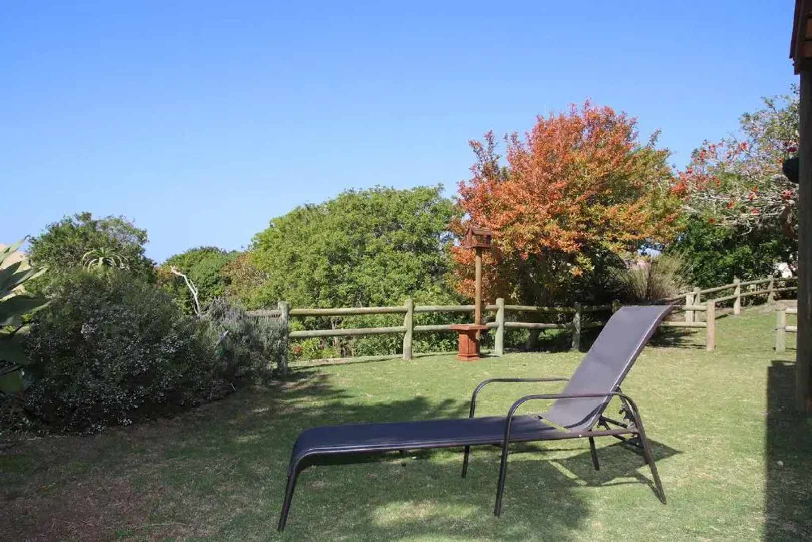 Coral Tree SelfCatering