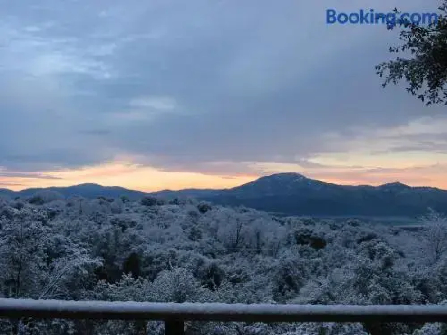 Sierra Mountain Lodge