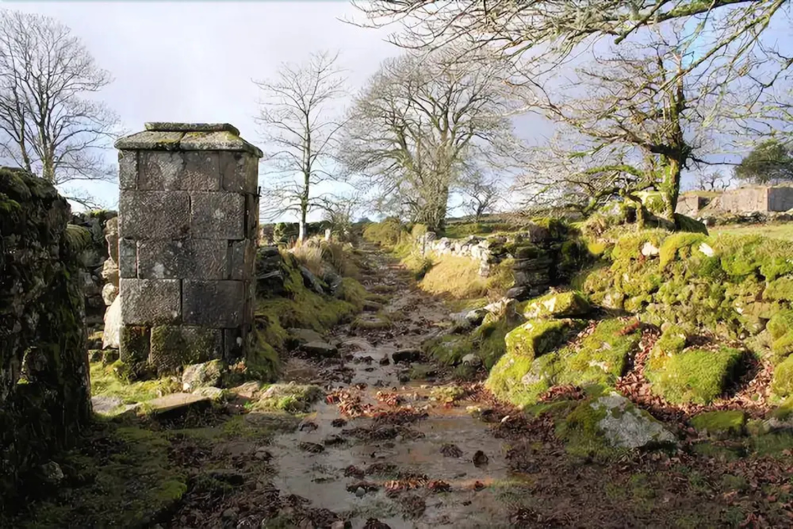 Wydemeet Bed and Breakfast