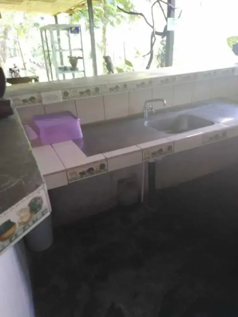 Finca Guarumo - Hostel