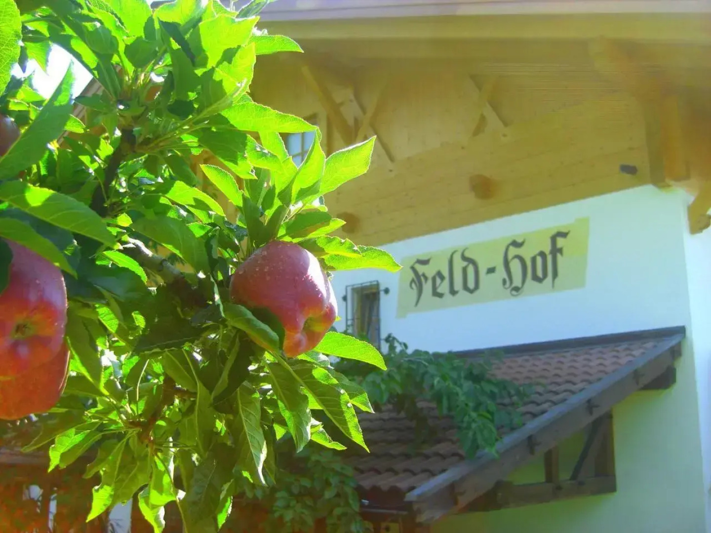Feld-hof
