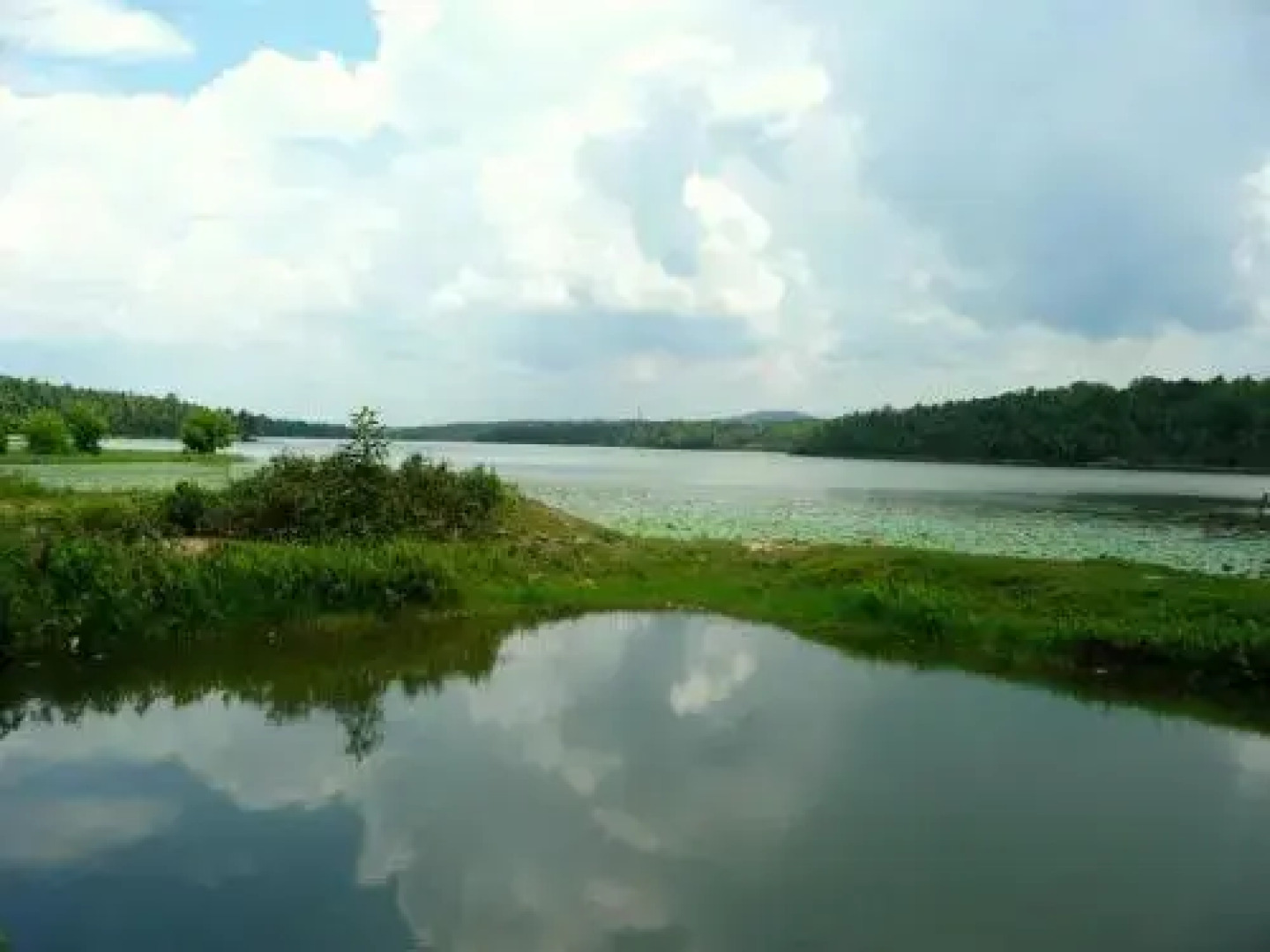 Ganesh Ayurveda Holiday Home bed and breakfast