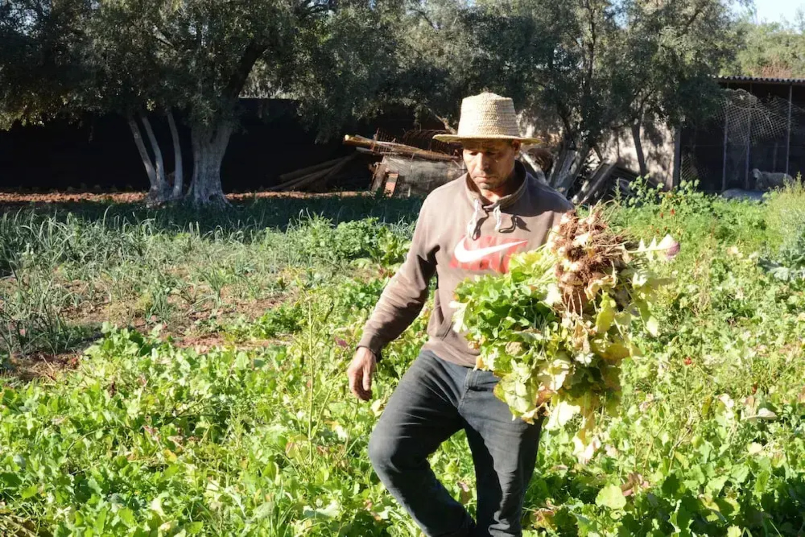 Ferme D'hôte Eco Farm Tayssir