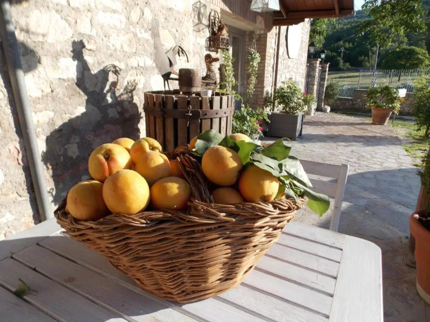 Bed And Breakfast Nonna Rosa