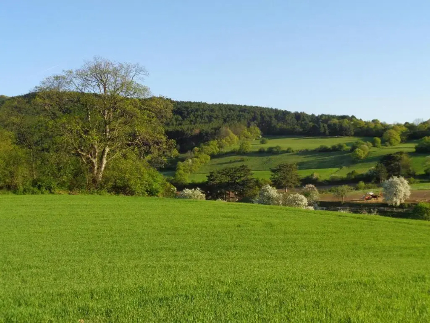 Apartments Himmelreich
