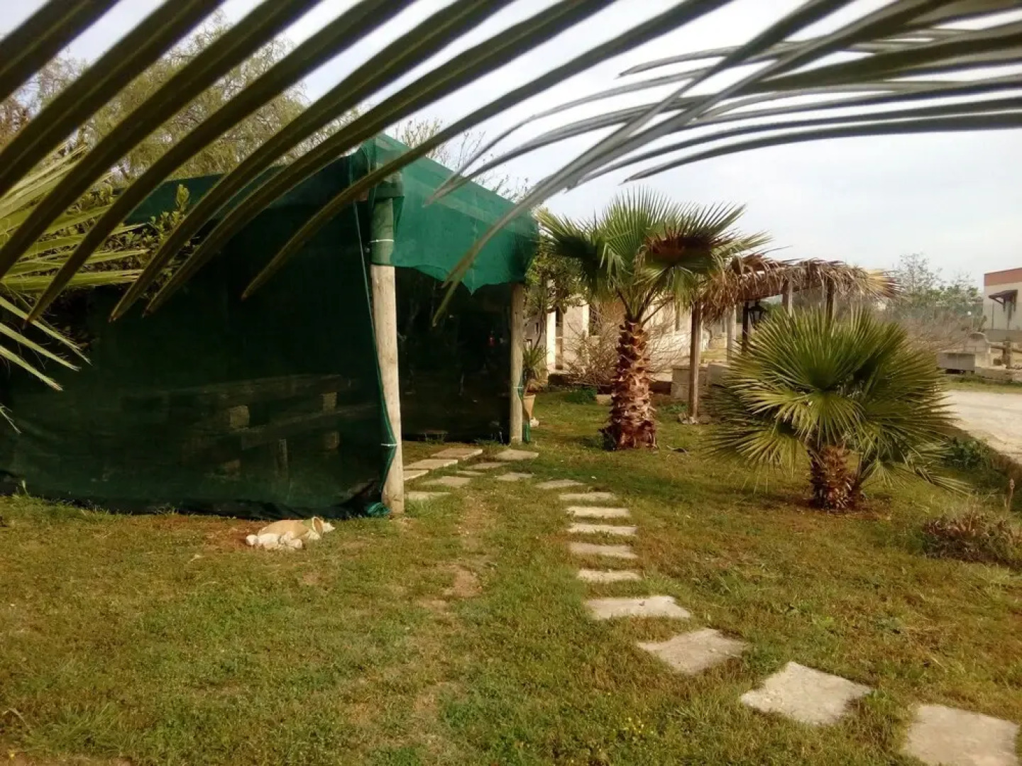 Guest House Paradiso