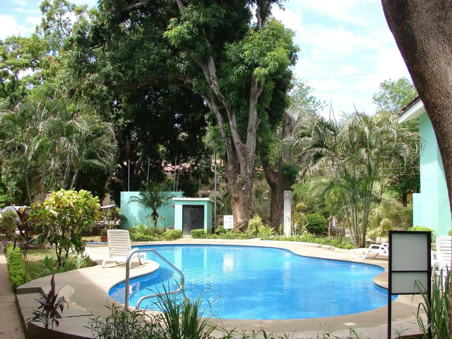 Green Forest of Coco Beach Studios