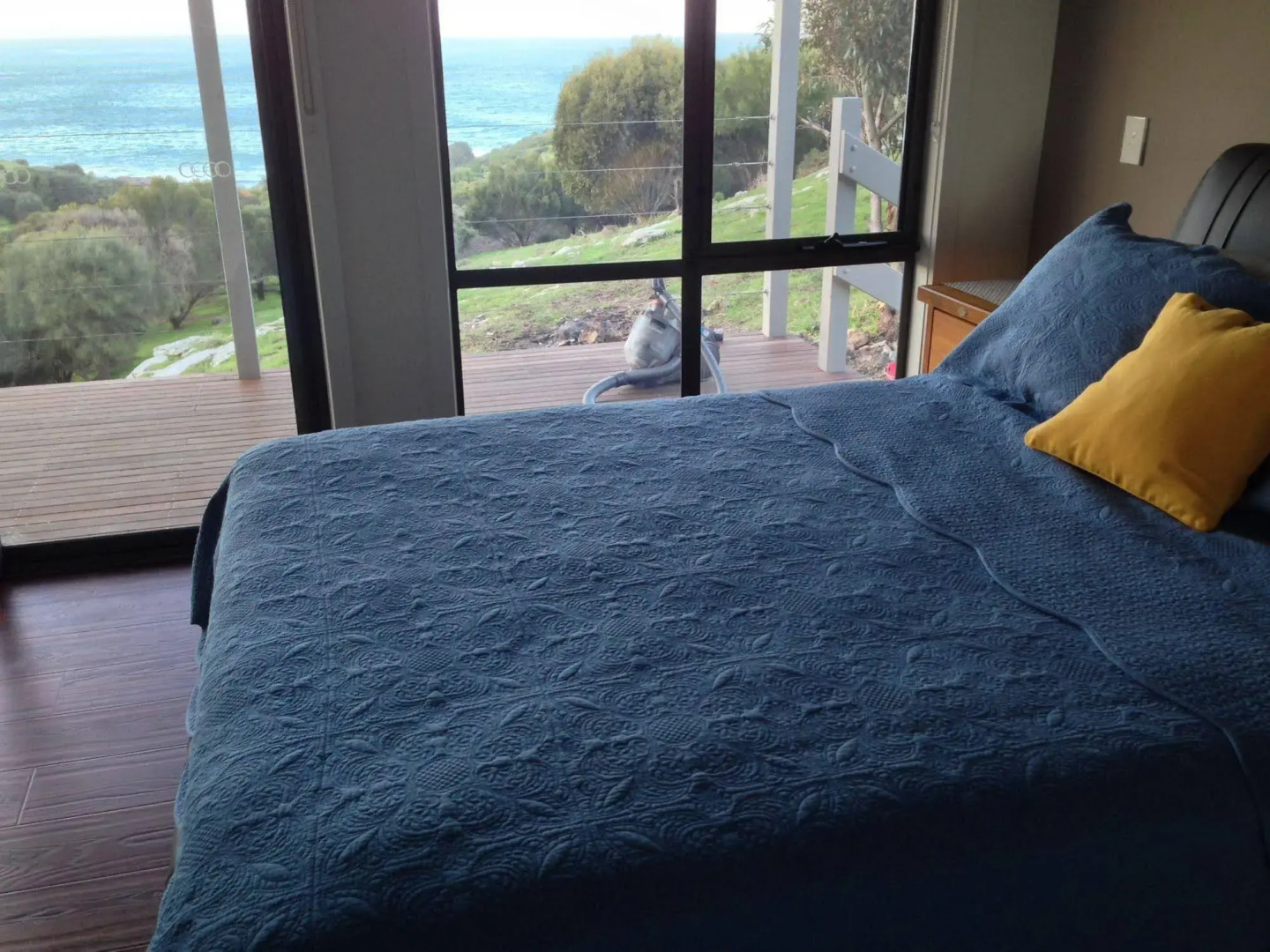 Sea Dragon Kangaroo Island