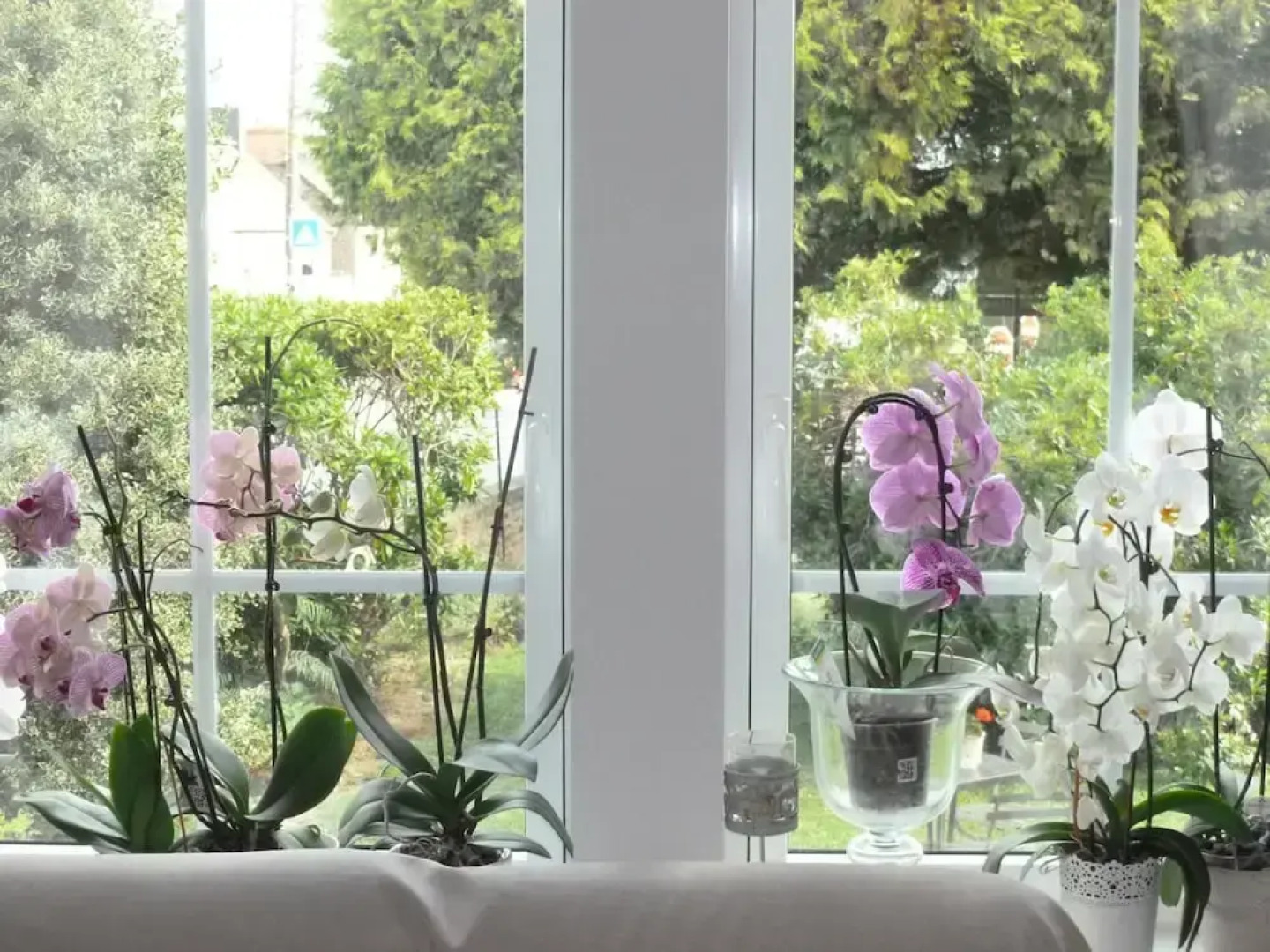 Château Bily Chambres d'hôtes