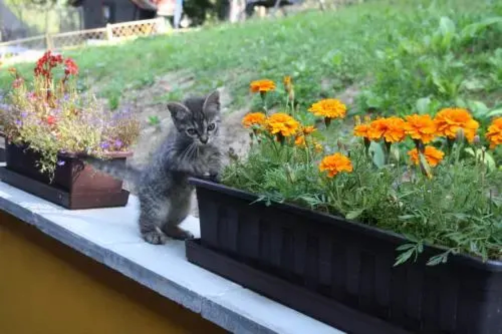 Letní rekreační středisko Schiffler Miroslav