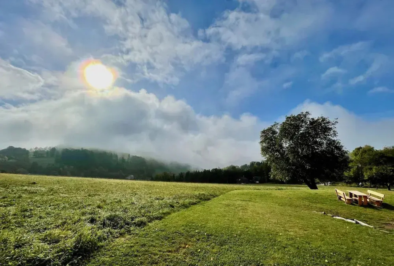 V Chov nad Jizerou Lvv033