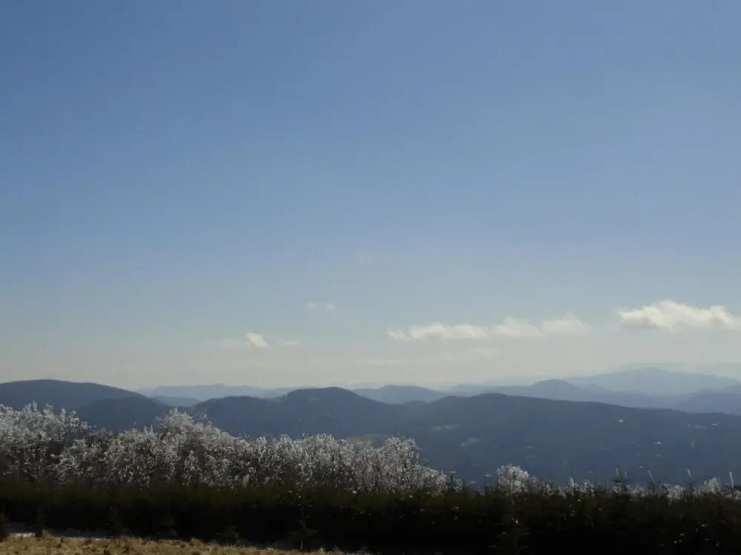 VCI - 4 Seasons at Beech Suite