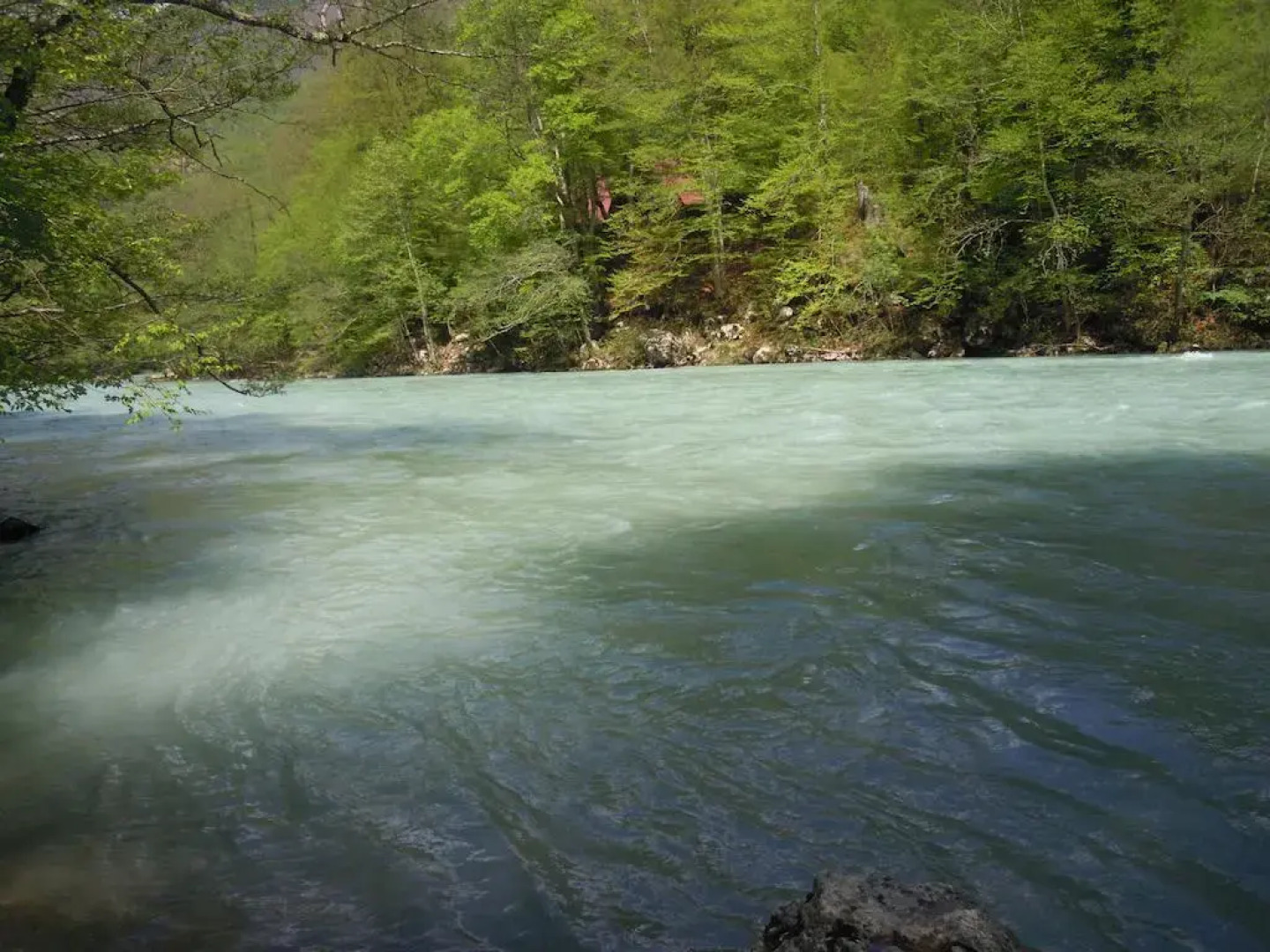 Rafting Camp Green Tara