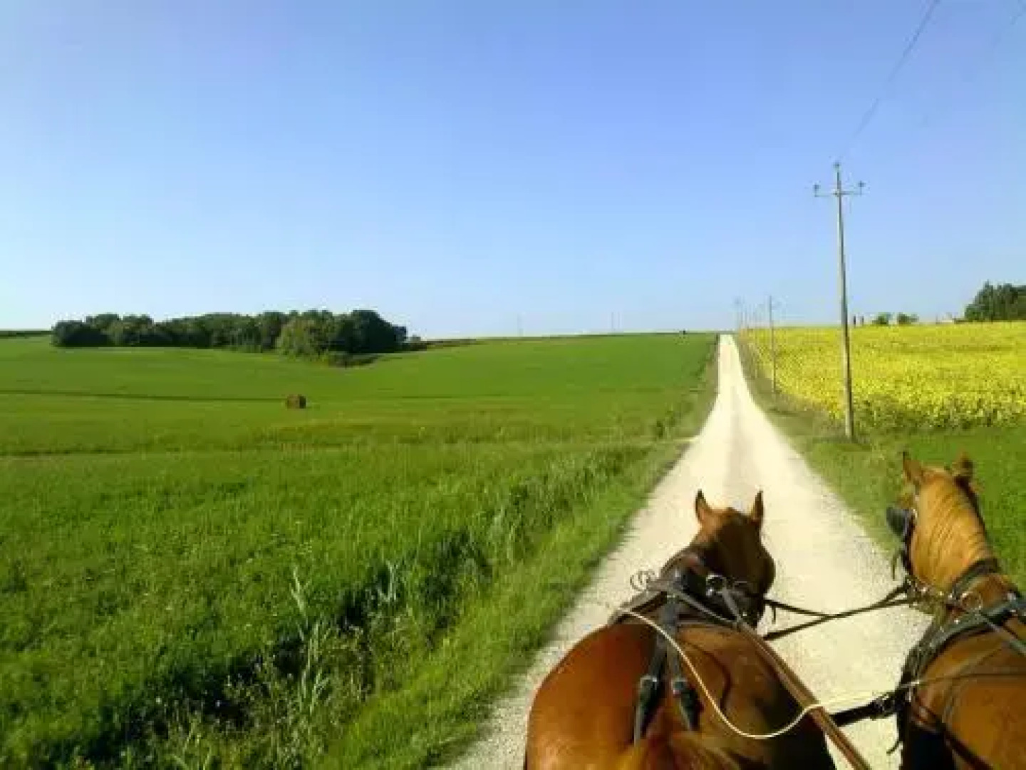 La Giuiaia - Agriturismo Azienda Agricola
