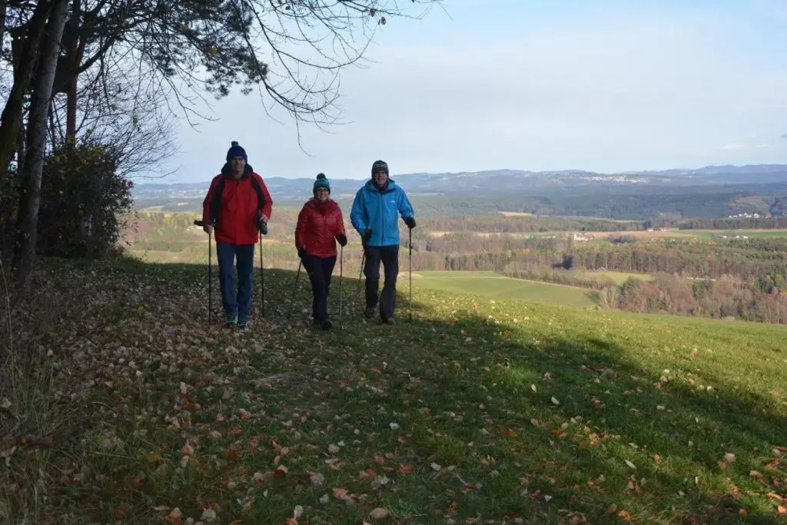 Wohlfuhl Hotel Wiesenhof