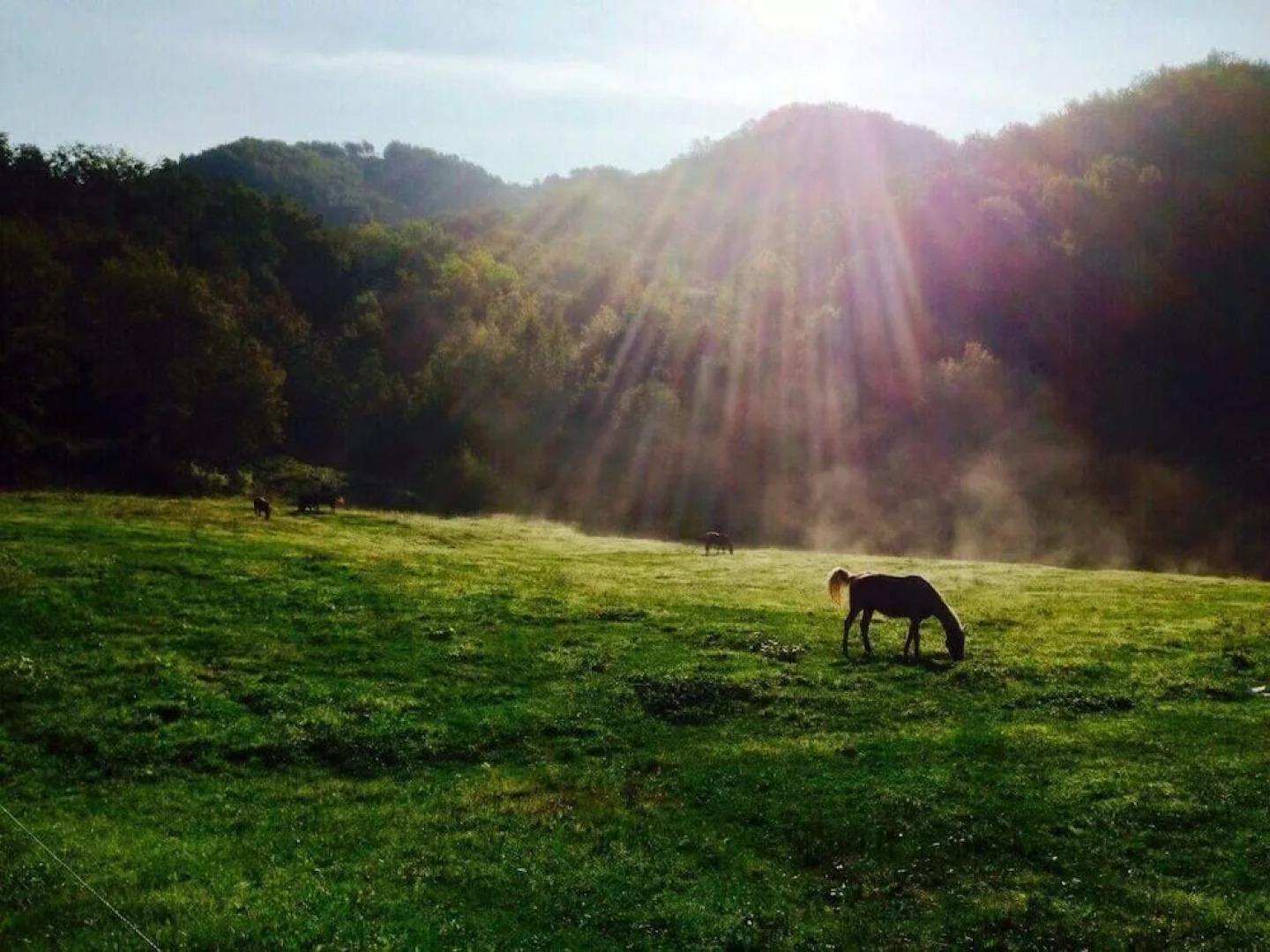 Agriturismo Il Picchio Verde