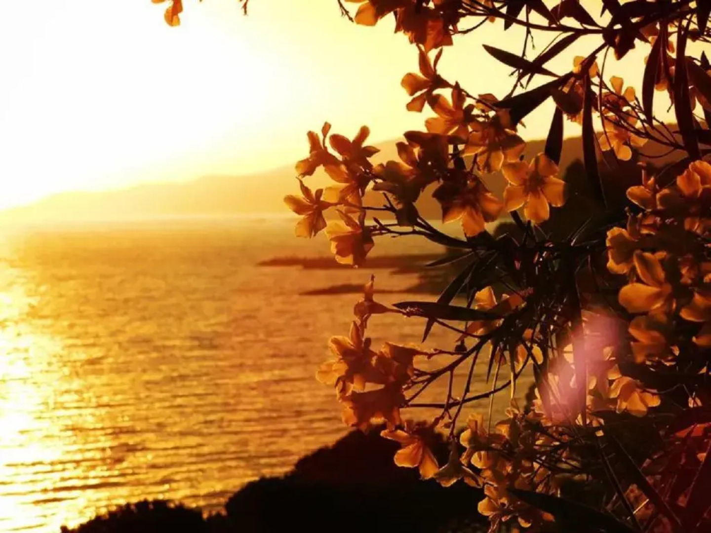 Lido Paradiso Resort