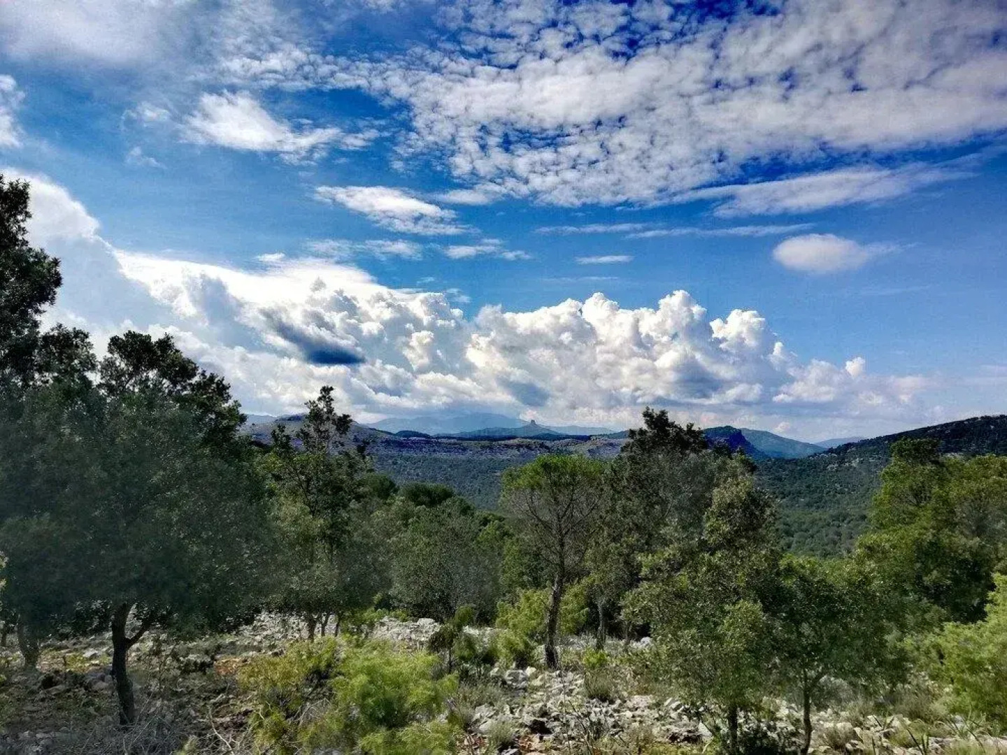 Scala San Giorgio Hotel