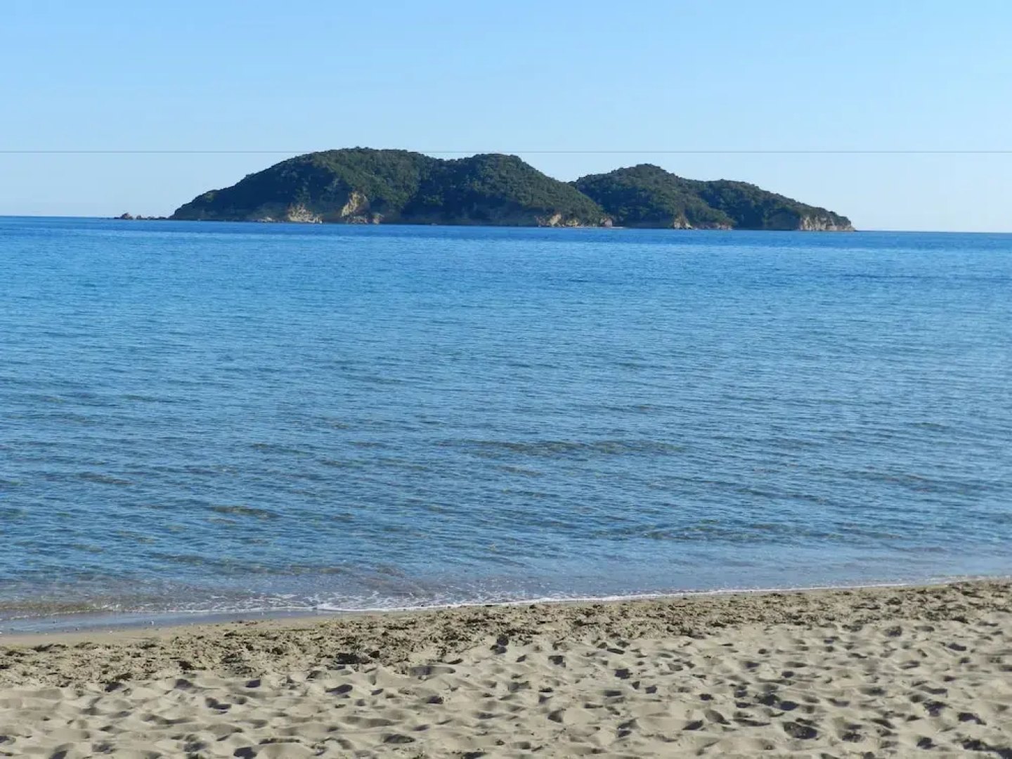 Turtle's Nest