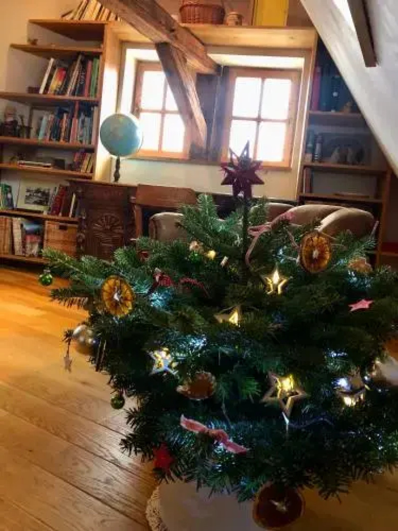 Apartments No.59 Loket