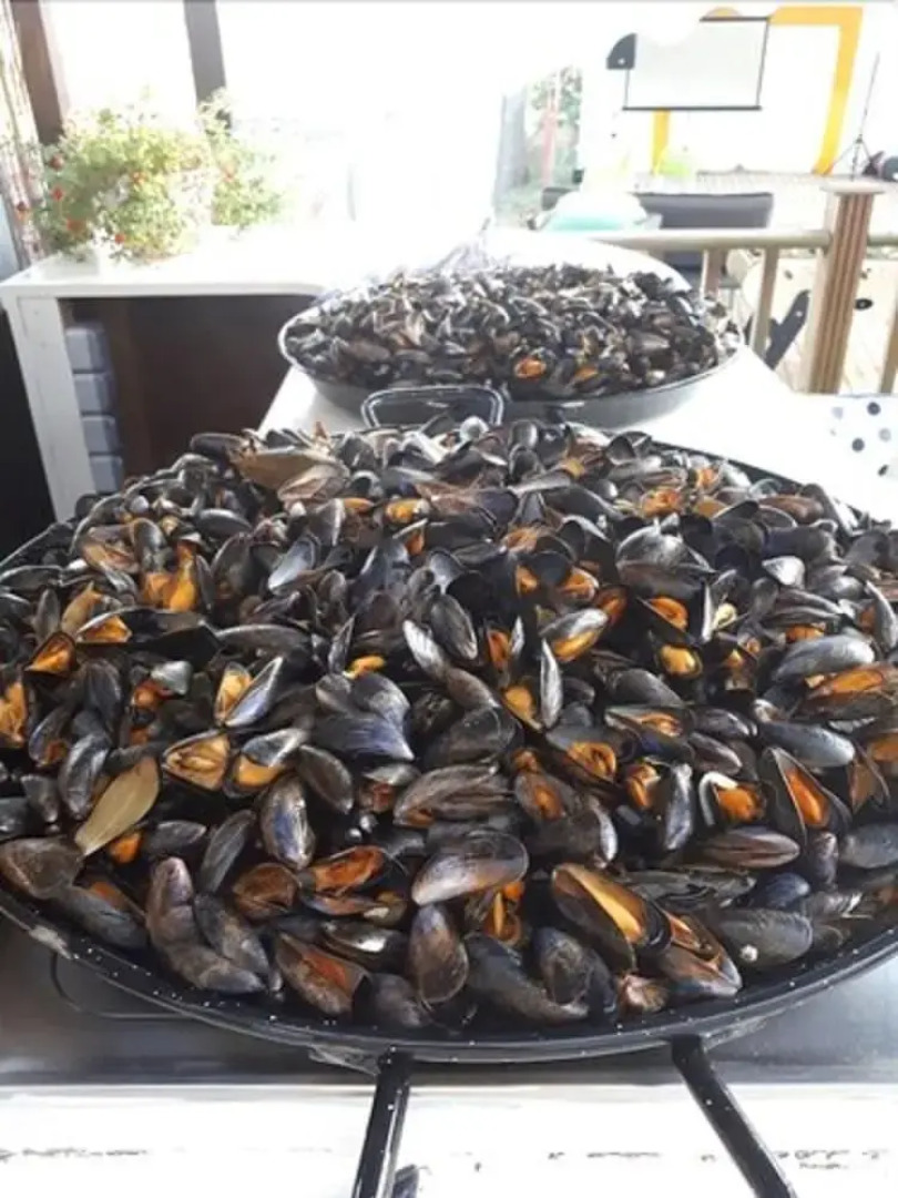 Camping de la Tête Noire