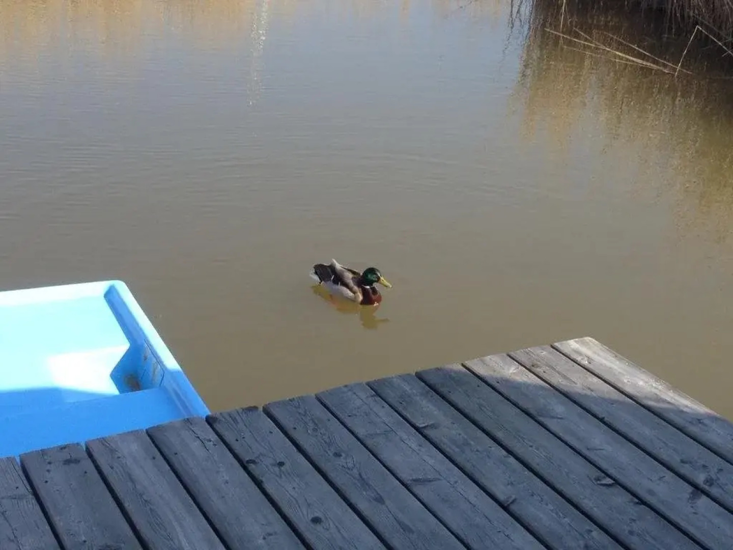 Pfahlbau Rust/Neusiedlersee