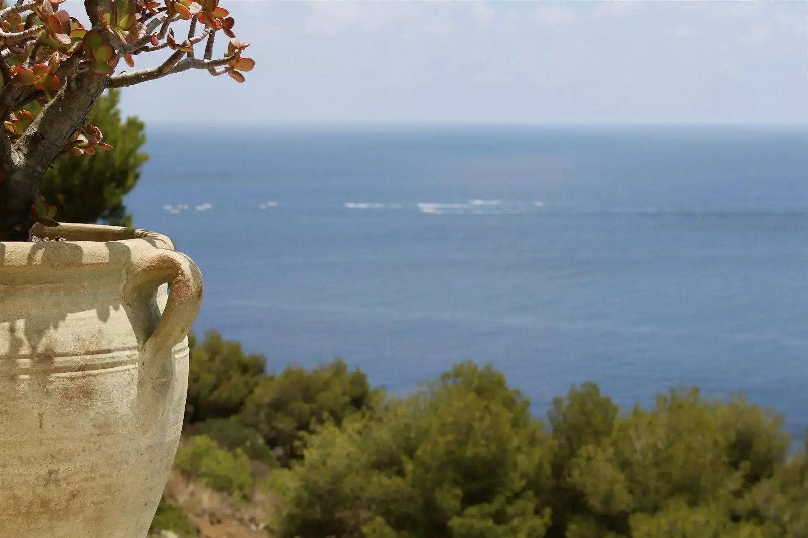 Hotel Restaurant Diana