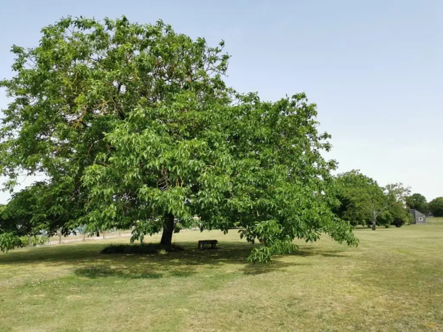 LAncienne Distillerie